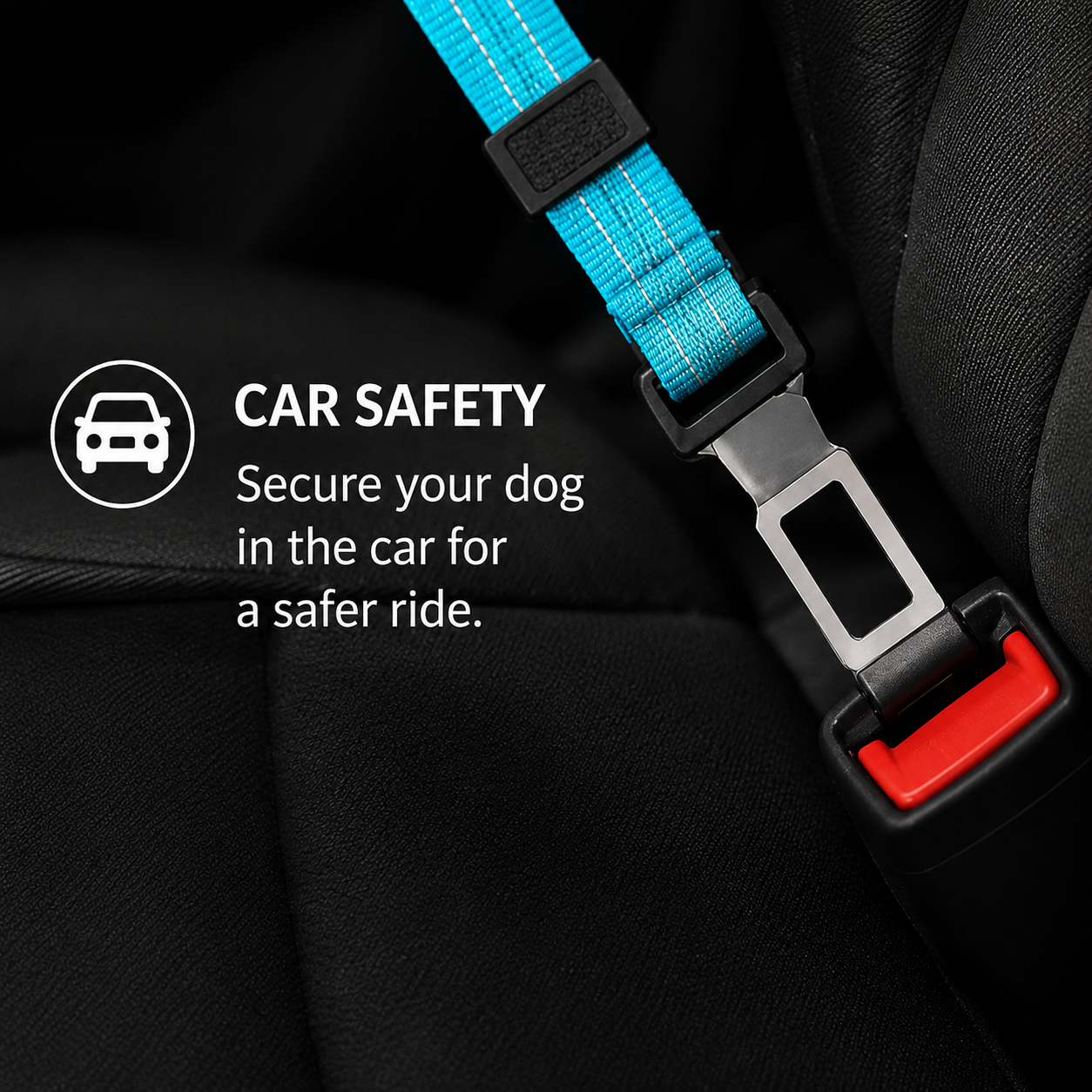 Pawelle™ 2-in-1 Safety Leash