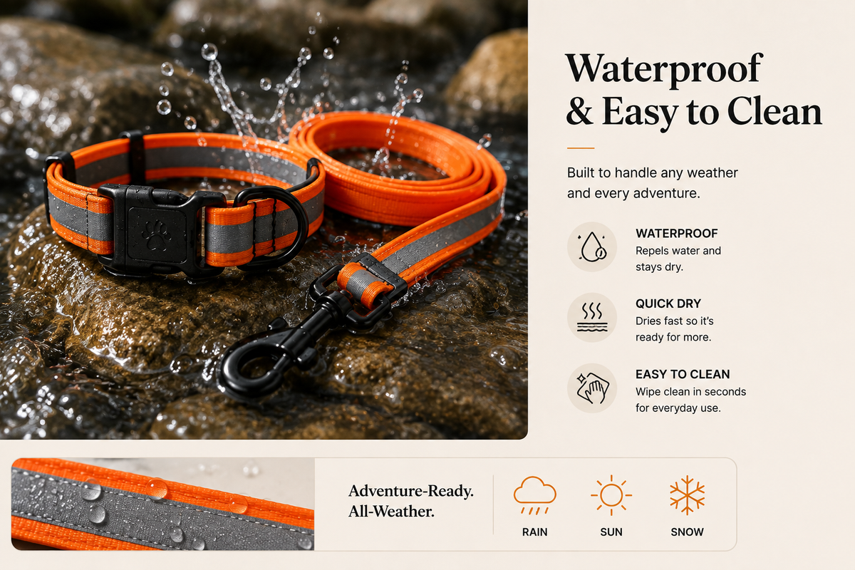 Pawelle™ Reflecta Collar & Leash Set